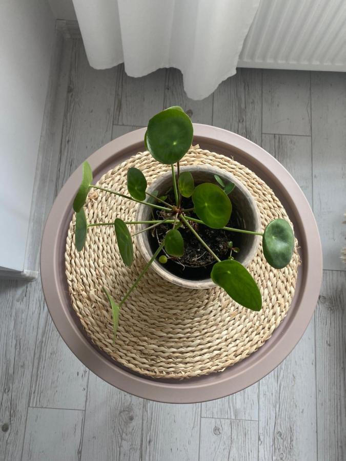 Apartament Bellapola Nysa Luaran gambar